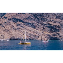 Freebird Teneriffa – touristische Aktivitäten