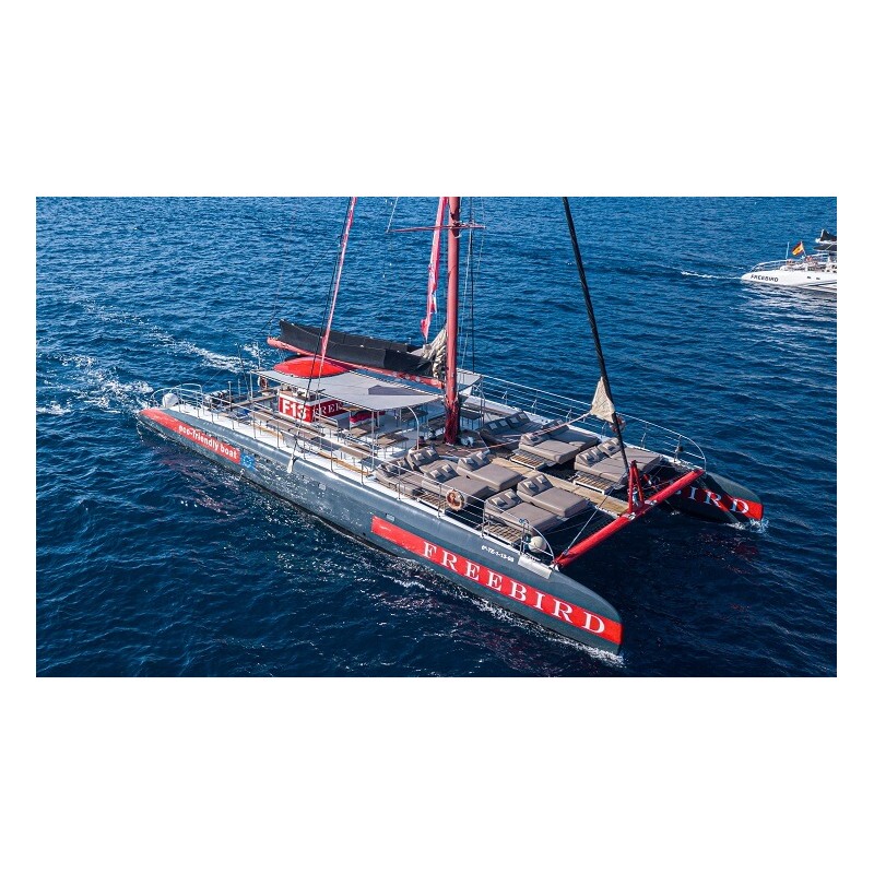 Freebird Tenerife – excursión en catamarán