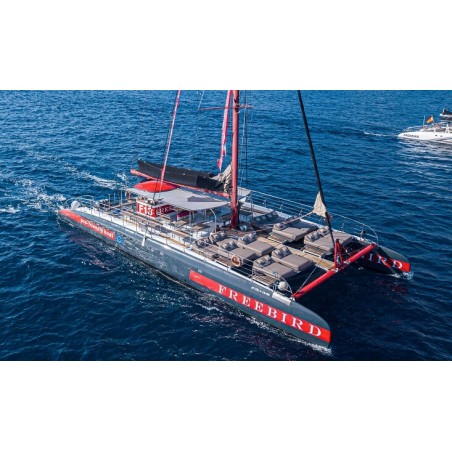 Freebird Tenerife – excursion catamaran