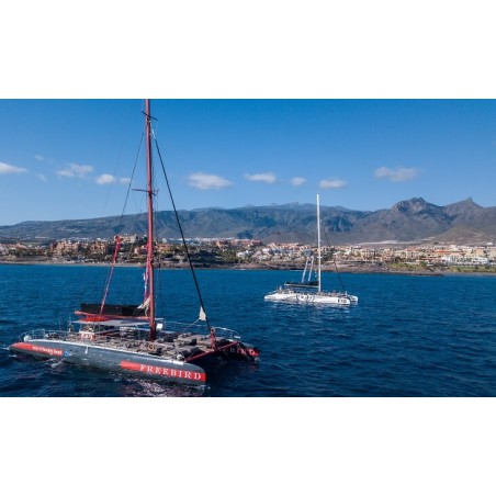 Paseo en catamarán Tenerife – relax en el océano