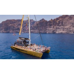Croisière en catamaran Freebird Tenerife – détente à bord