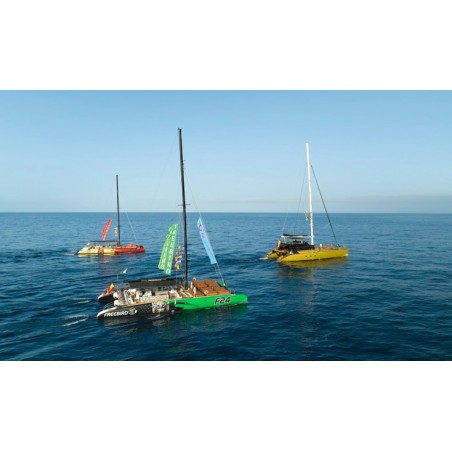 Croisière en catamaran Freebird Tenerife – catamaran confortable