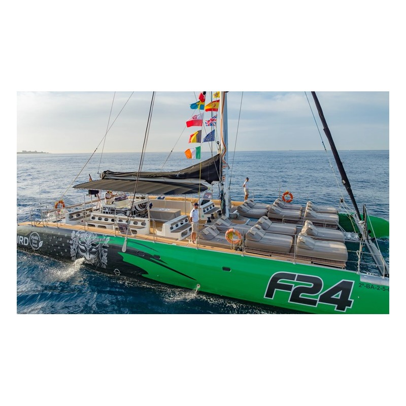 Croisière en catamaran Tenerife – excursion en mer