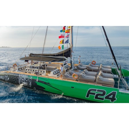 Croisière en catamaran Tenerife – excursion en mer