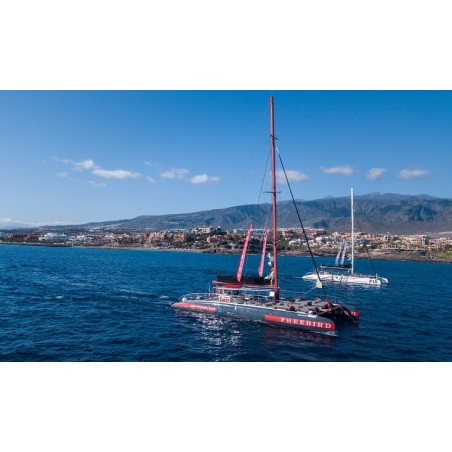 Croisière en catamaran Freebird Tenerife – croisière de luxe sur l’océan
