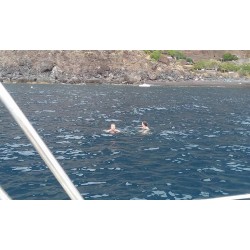 Купание в океане во время прогулки на яхте Тенерифе