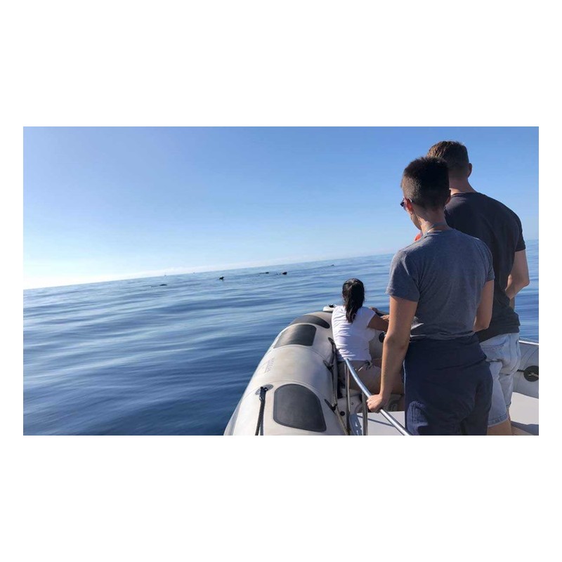 Rejs łodzią Teneryfa ocean Atlantycki