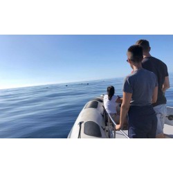 Rejs łodzią Teneryfa ocean Atlantycki