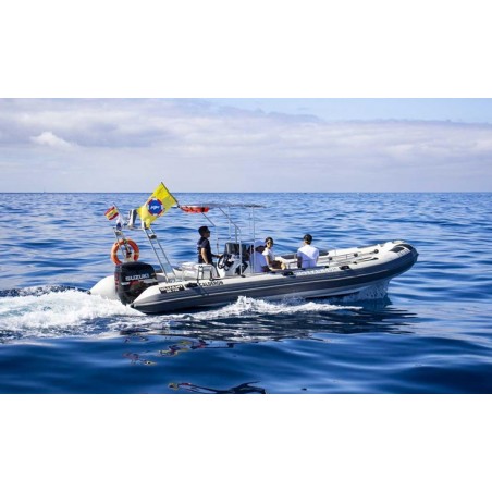 Bateau rapide Tenerife excursion océan