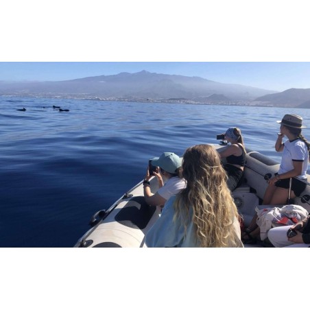 Obserwacja delfinów Teneryfa Los Gigantes