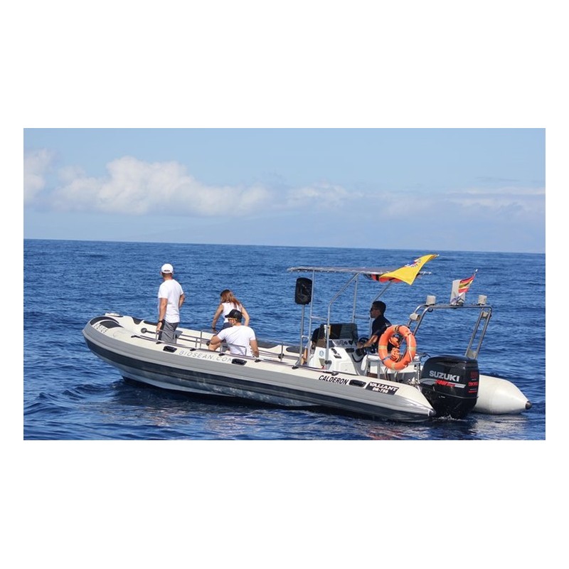 Excursión barco Tenerife observación fauna