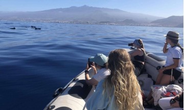 Excursion en bateau Tenerife sortie en mer