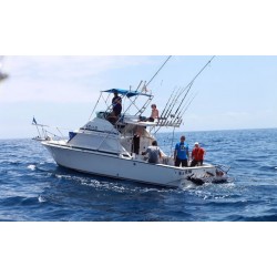 Pesca privada de atún Tenerife No Limits 4h