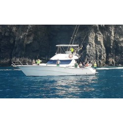 Wędkowanie oceaniczne Teneryfa No Limits 8h prywatnie