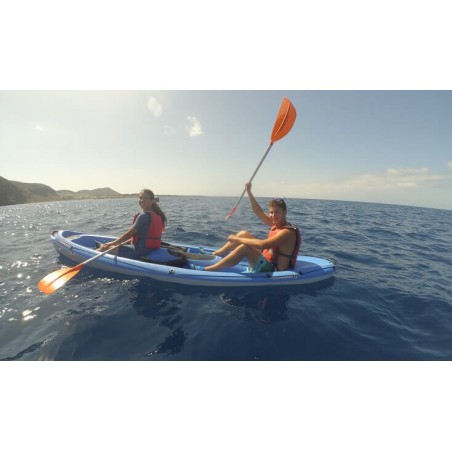 kayak tenerife los cristianos observation dauphins