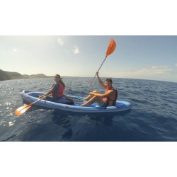 kayak tenerife los cristianos observation dauphins