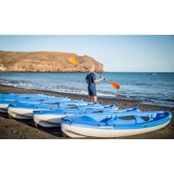 kayak tenerife los cristianos excursion