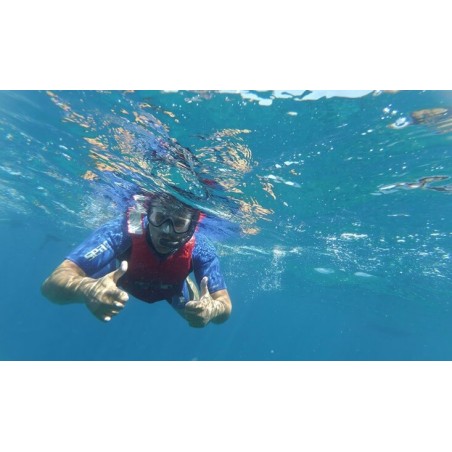 kajaki teneryfa snorkeling żółwie