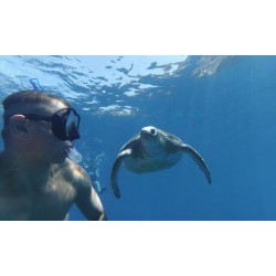snorkeling tenerife tortues océan