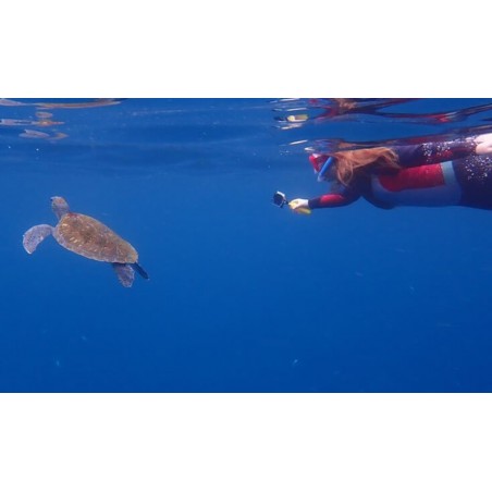 kajaki los cristianos snorkeling