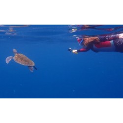 kayak los cristianos snorkeling