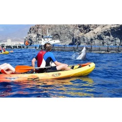 kajaki los cristianos delfiny ocean