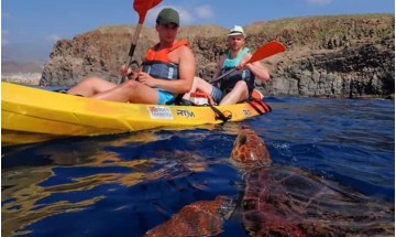 kayak tenerife tortues snorkeling