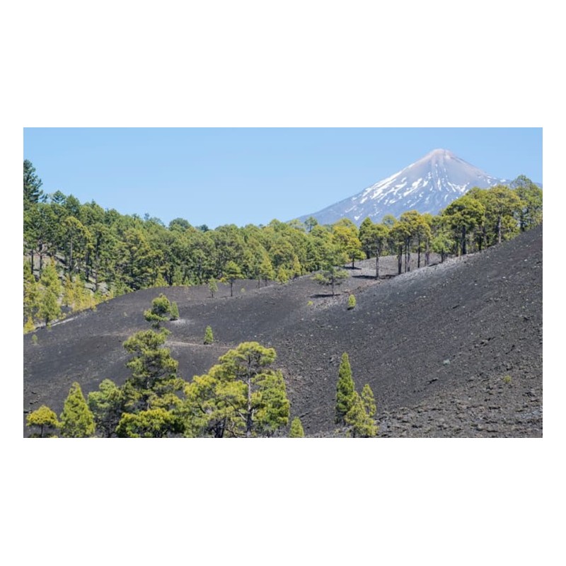 teide tenerife paisaje parque nacional