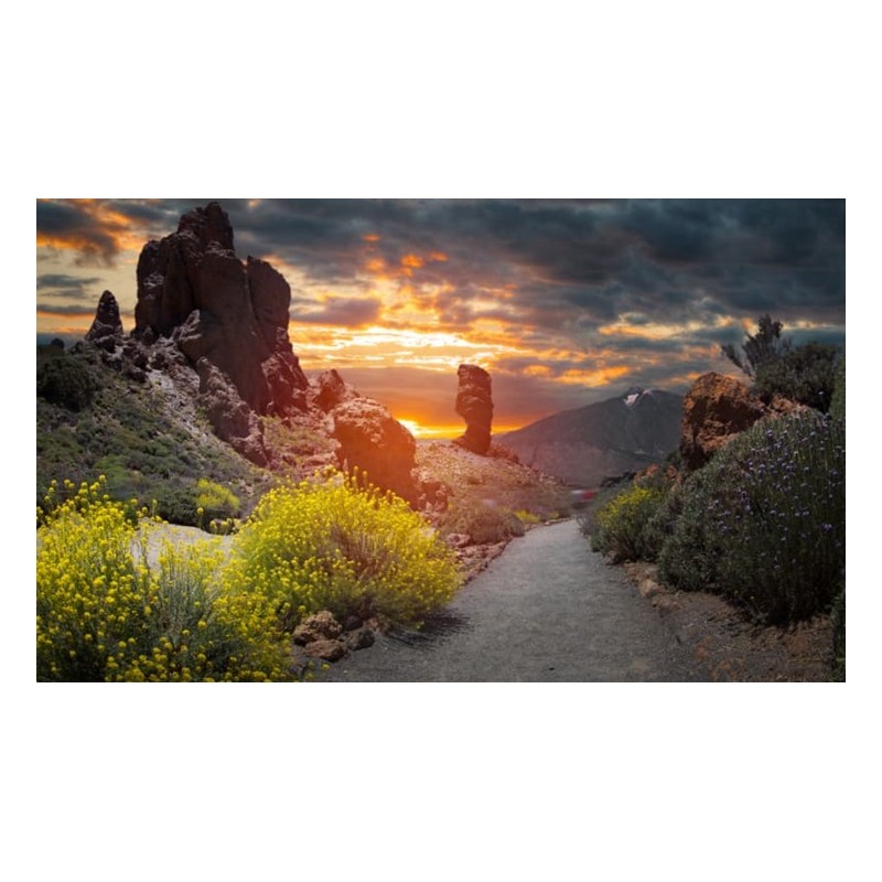 teide tenerife rocas parque nacional
