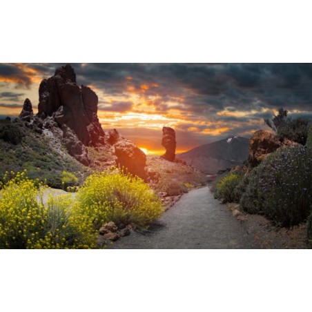 teide tenerife rocas parque nacional