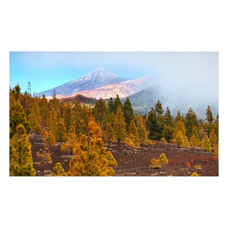 teide teneryfa las park narodowy