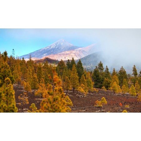 teide teneryfa las park narodowy
