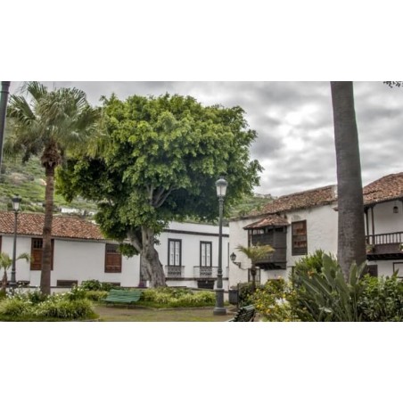 Garachico Tenerife centre historique
