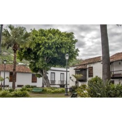 Garachico Tenerife casco histórico