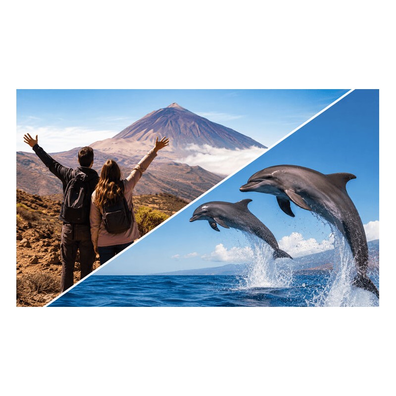 Teide et observation des dauphins Tenerife