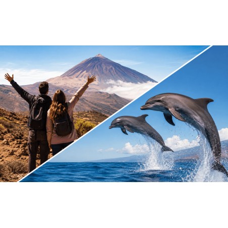 Teide i obserwacja delfinów Teneryfa