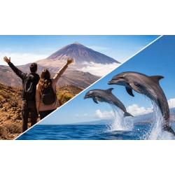 Teide und Delfinbeobachtung Teneriffa