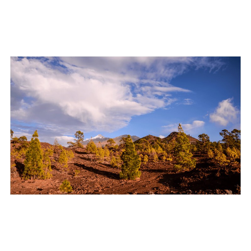 Krajobraz Parku Narodowego Teide na Teneryfie