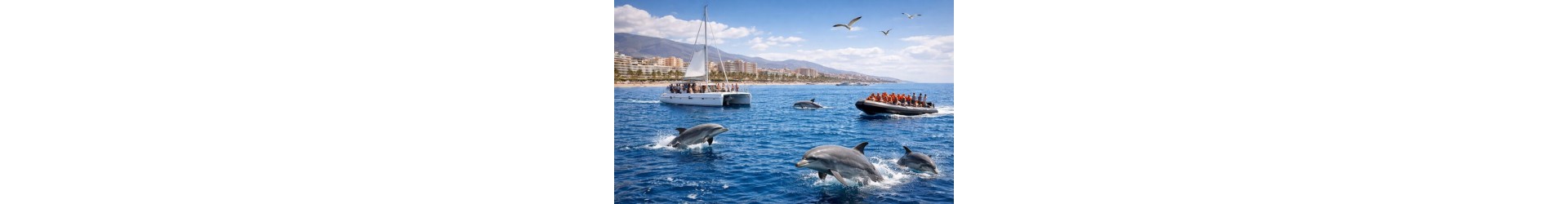 Escursione in catamarano Tenerife –  osservazione dei delfini