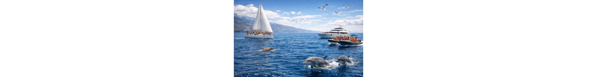 Teneriffa: Yachtfahrt