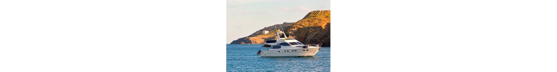 Excursion en yacht à Ténérife ! Dauphins et baleines à Ténérife !