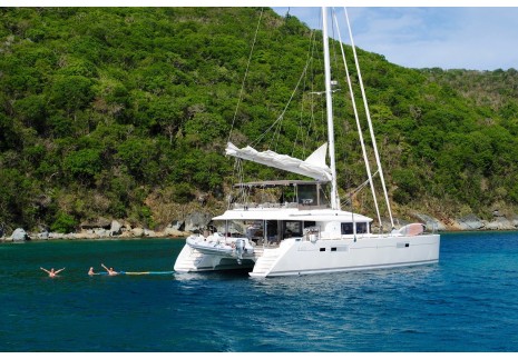 Katamaran-Tour auf Teneriffa. Delfin- und Walbeobachtung!!! AVEMTO.com