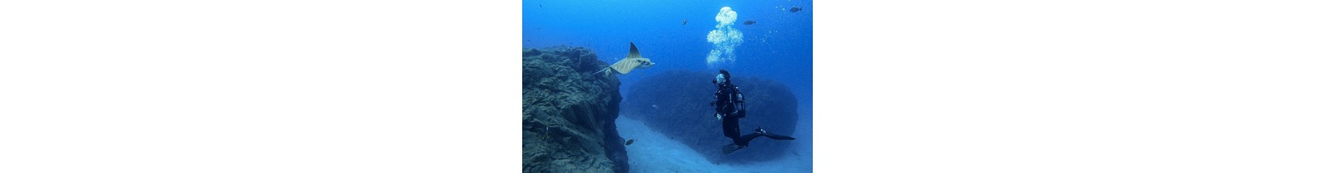Unlimited Diving Adventures: Discover Extraordinary Underwater Attractions