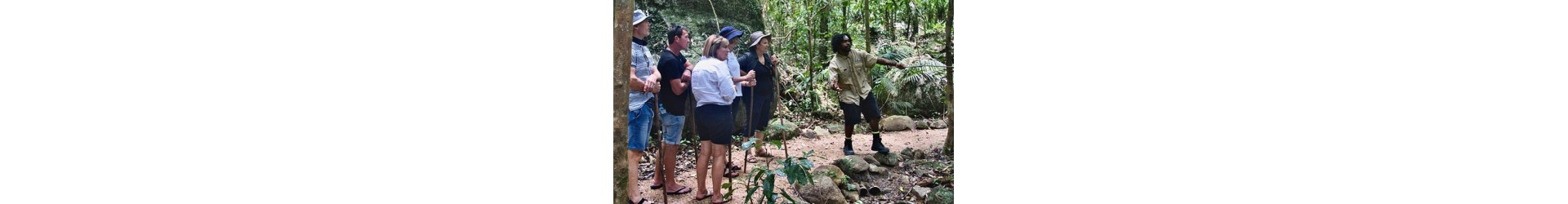 Catégorie: Visites guidées