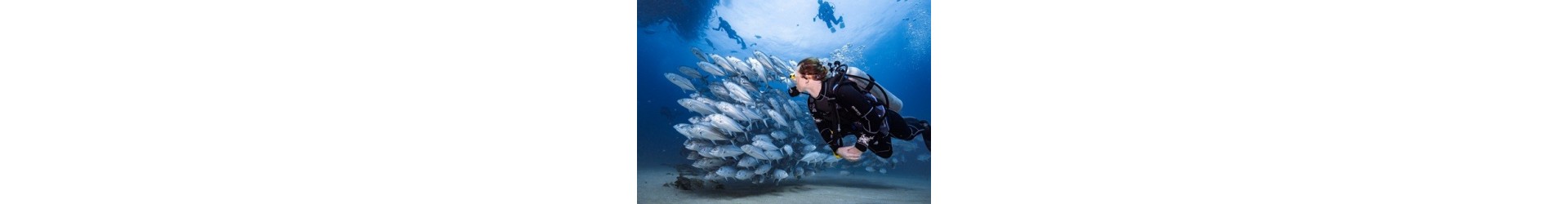 Tenerife: Buceo para buceadores certificados. ¡¡¡Súper Promociones!!!