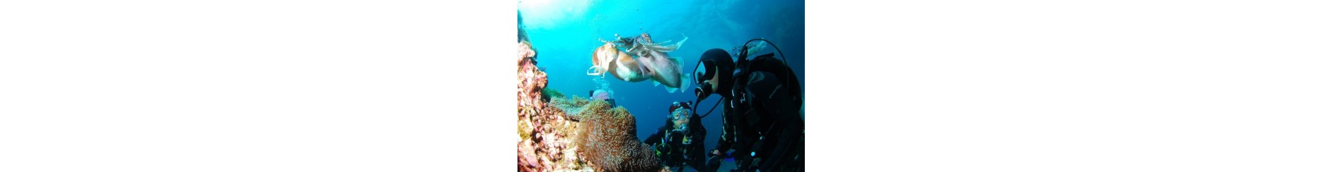 Categoría: Buceo sin licencia